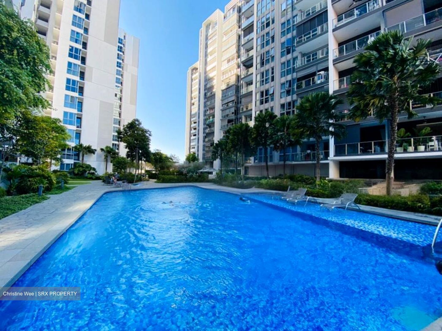 Bartley Ridge (D13), Condominium #459112411